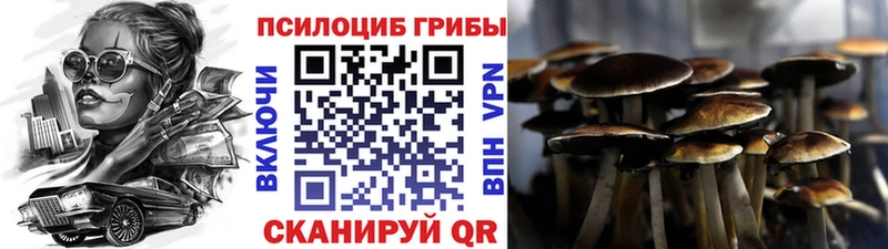 Псилоцибиновые грибы ЛСД Великий Новгород