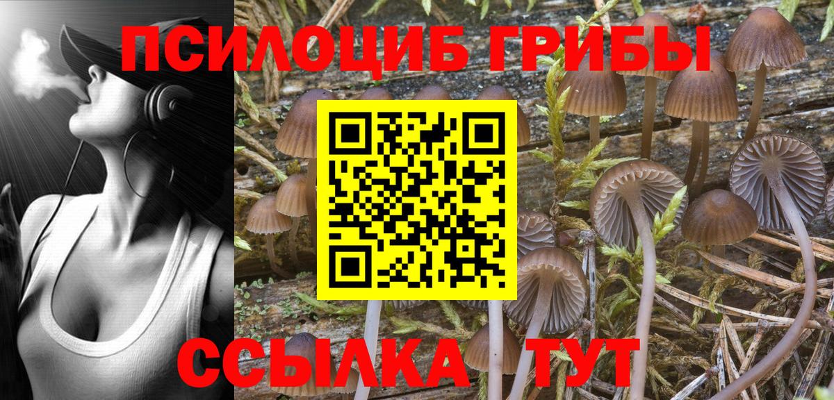 Псилоцибиновые грибы Psilocybe  Галлюциногенные грибы мухоморы  Великий Новгород  Вход с VPN 
