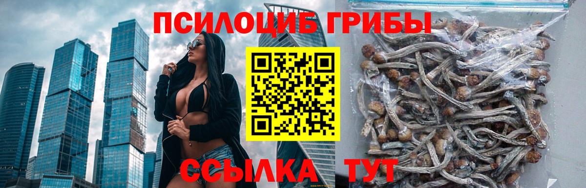 Псилоцибиновые грибы мухоморы Великий Новгород
